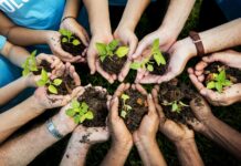 Isusovci i ekologija