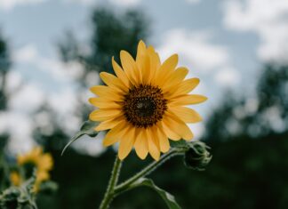 Boga tražiti i nalaziti u svemu
