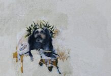 Pet stvari o Isusu koje sam naučila iz Duhovnih vježbi