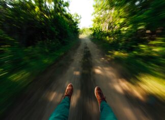 Kontemplativan u akciji