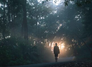 Donošenje odluke više je od pukog izbora