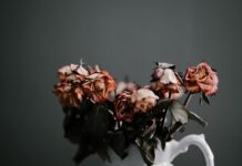 Prihvaćanje nestabilnosti i doživljavanje Neba sada