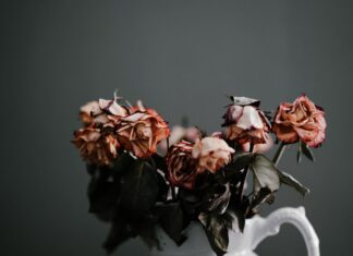 Prihvaćanje nestabilnosti i doživljavanje Neba sada