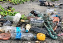 Što je ekološko obraćenje?