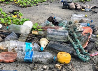 Što je ekološko obraćenje?