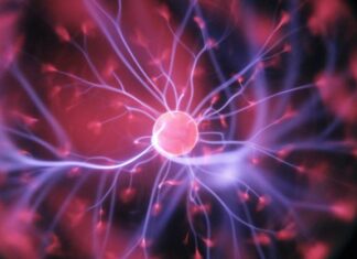 Ljudski um – tračak božanskog?