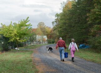 Divni jučerašnji dani