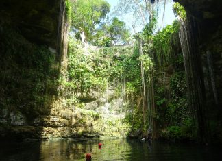 Pouke o integralnoj ekologiji od Chiapas Tzeltal naroda